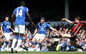 Images Dated 30th April 2016: Tom Cleverley's Strike: Everton vs AFC Bournemouth, Premier League, Goodison Park