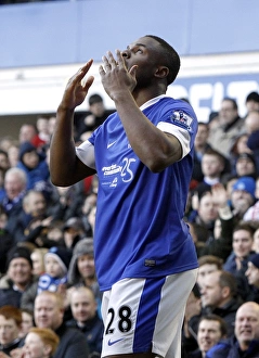 Everton 3 V Aston Villa 3 : Goodison Park : 02-02-2013 Prints: Victor Anichebe's Debut Dramatic Goal: Thrilling 3-3 Draw for Everton at Goodison Park (02-02-2013)